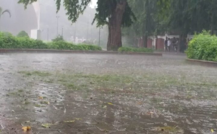पहाड़ी क्षेत्रों में बारिश और ओलावृष्टि ने जमकर मचाई तबाही, फल और खड़ी फसलें हुई बर्बाद 