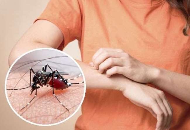 अलग- अलग निजी अस्पतालों में 15 मरीजों में डेंगू वायरस की पुष्टि 