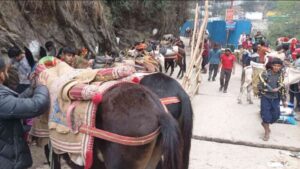 यात्रा मार्ग पर सेवा देंगे 43 सौ से अधिक घोड़ा- खच्चर संचालक
