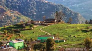 ग्रामीण पर्यटन का सफल उदाहरण बना रुद्रप्रयाग का सारी गांव