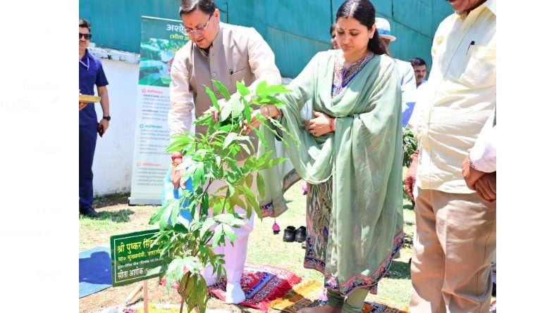 सीएम धामी ने विश्व पर्यावरण दिवस के अवसर पर मुख्यमंत्री आवास में लगाया सीता अशोक का पौधा